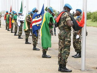 Felino 2010 Hastear Das B